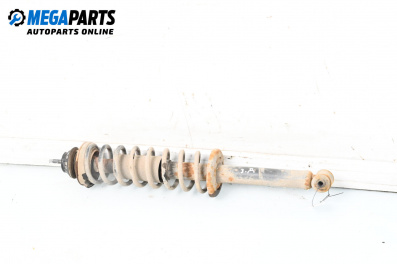 Macpherson shock absorber for Seat Cordoba Vario II (06.1999 - 12.2002), station wagon, position: rear - right