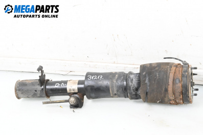 Amortizor pneumatic for Land Rover Range Rover III SUV (03.2002 - 08.2012), suv, position: stânga - fața