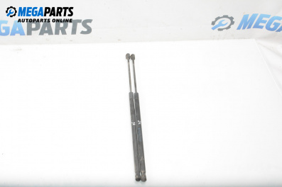 Tije telescopice, portbagaj for Ford Fiesta V Hatchback (11.2001 - 03.2010)