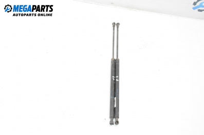 Tije telescopice, portbagaj for Peugeot 206 Station Wagon (07.2002 - ...)