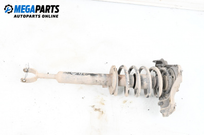Macpherson shock absorber for Volkswagen Passat IV Variant B5.5 (09.2000 - 08.2005), station wagon, position: front - right