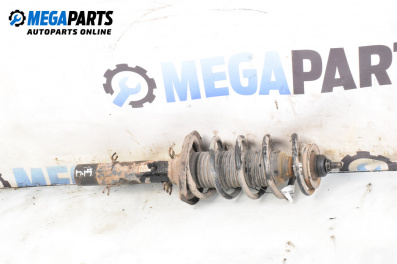 Macpherson shock absorber for Skoda Octavia I Combi (07.1998 - 12.2010), station wagon, position: front - right