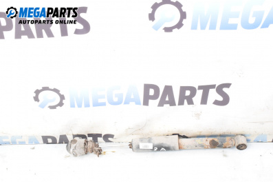 Dämpfer for Skoda Fabia I Sedan (10.1999 - 12.2007), sedan, position: rechts, rückseite