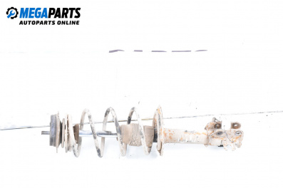 Macpherson shock absorber for Fiat Punto Hatchback II (09.1999 - 07.2012), hatchback, position: front - right