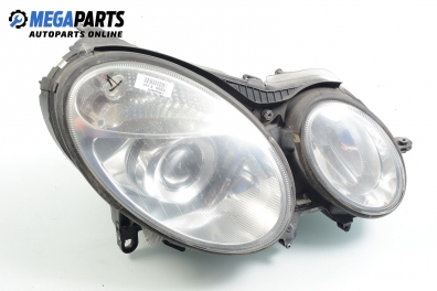 Xenon headlight for Mercedes-Benz E-Class 211 (W/S) 2.4, 177 hp, sedan automatic, 2005, position: right