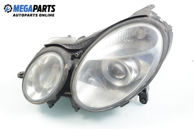 Xenon headlight for Mercedes-Benz E-Class 211 (W/S) 2.4, 177 hp, sedan automatic, 2005, position: left