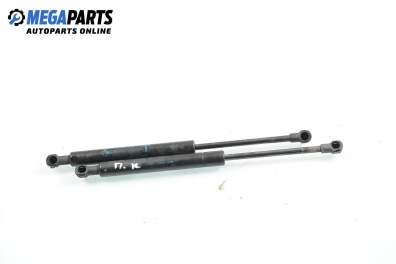 Motorhaubedämpfer for BMW 3 (E46) 2.0 d, 150 hp, combi automatic, 2003