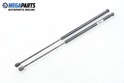 Bonnet damper for Renault Express 1.4, 75 hp, truck, 1992