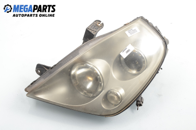 Headlight for Ssang Yong Rexton (Y200) 2.7 Xdi, 163 hp automatic, 2004, position: left