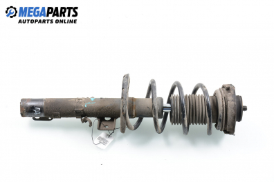 Macpherson shock absorber for Seat Cordoba (6L) 1.9 TDI, 131 hp, sedan, 2004, position: front - right