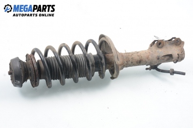 Macpherson shock absorber for Seat Cordoba (6K) 1.4, 60 hp, station wagon, 1998, position: front - right