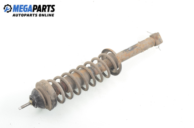 Macpherson shock absorber for Seat Ibiza (6K) 1.0, 50 hp, 3 doors, 1998, position: rear - left