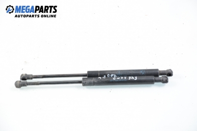 Bonnet damper for BMW 3 (E46) 1.8, 115 hp, hatchback, 2003