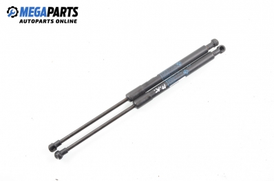 Tijă telescopică, capotă for BMW 3 (E90, E91, E92, E93) 2.0, 136 hp, combi, 2007