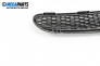 Bumper grill for Mini Hatchback I (R50, R53) (06.2001 - 09.2006), hatchback, position: front